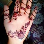 Ali Khan Profile Picture