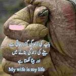 alishaai alishaai Profile Picture