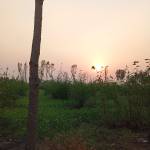 Zoha Mehmood Profile Picture