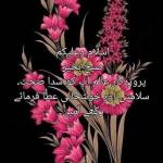 ladla bhatti Profile Picture