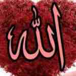 Aiza Shahid Profile Picture