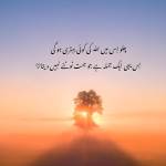 ayesha Jutt Profile Picture