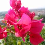 Awais kahttak Profile Picture